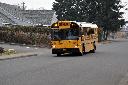 schoolbus-d08_6143.jpg 51.6K