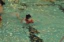 swimming-d08_6055.jpg 62.1K